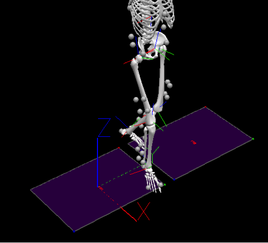 Computational, Robotics & Experimental Biomechanics (CoRE) Lab image ...