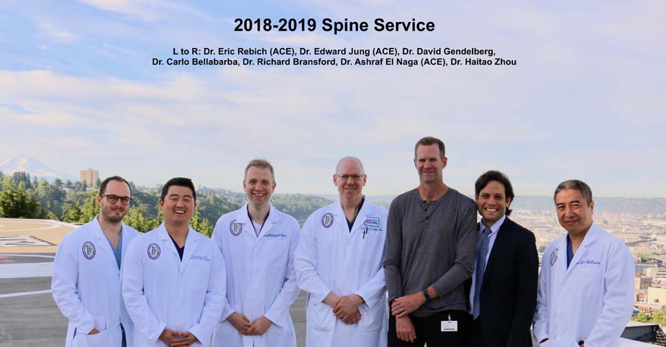 2017 Spine Fellows