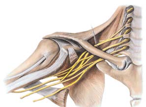 2015 Hand Course