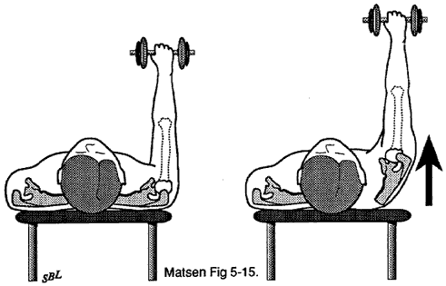 shoulder therapy exercise charts