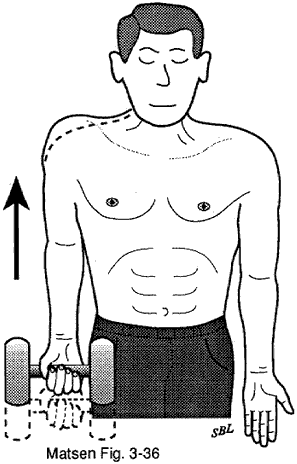 Home Exercises for the Unstable Shoulder UW Orthopaedics and