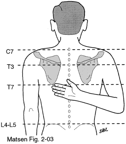 internal rotation shoulder