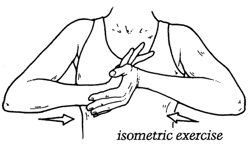 isometric exercises chart