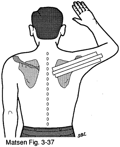 scapular isometric exercises