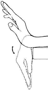 wrist flexion and extension exercises