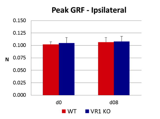 Ground Reaction Force After Peripheral Nerve Injury