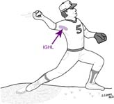 Bankart Lesion Fig 10 - Throwing the ball may be difficult