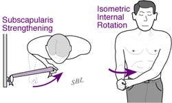Bankart Lesion Fig 12 - Exercises to strengthen the rotator cuff