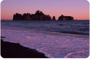 Ocean - Olympic National Park